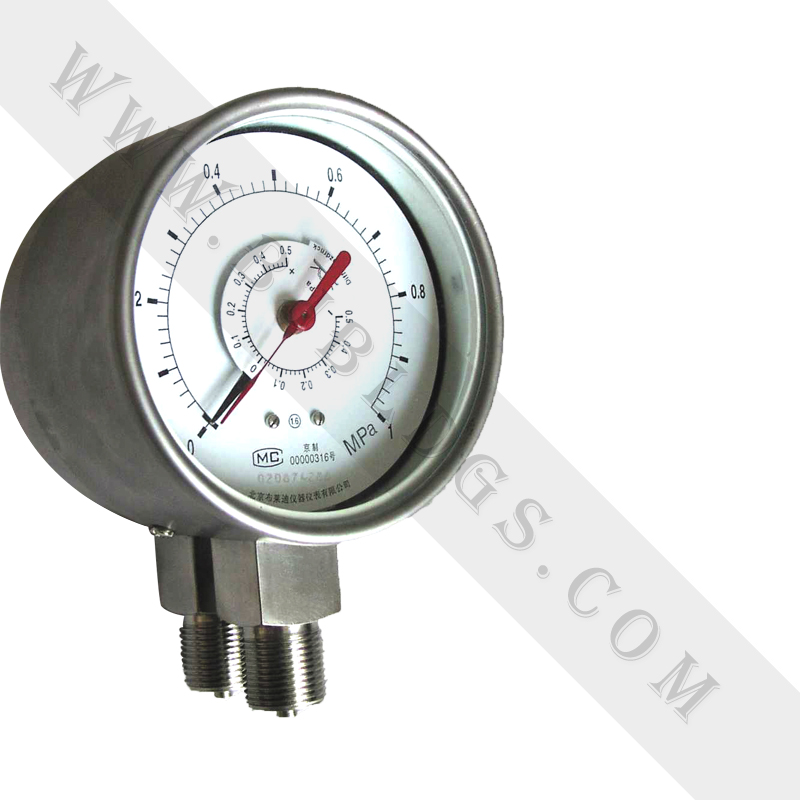 全不锈钢（耐震）双针双管差压表YCSH(N)-100(标准型）